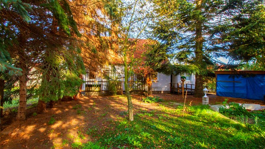 Haus mit großem Grundstück – wohnen-in-le.de